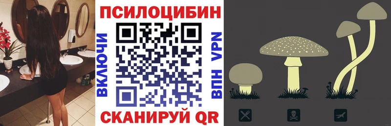Псилоцибиновые грибы прущие грибы  наркошоп  Болотное 